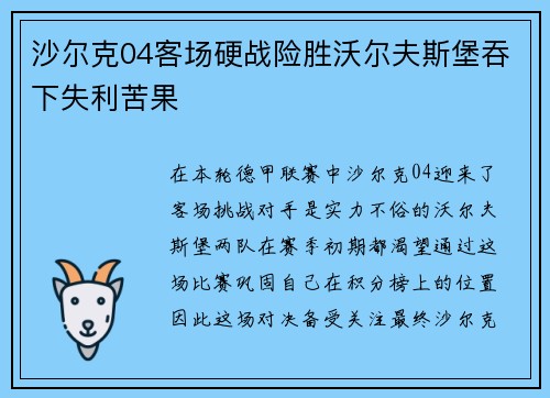 沙尔克04客场硬战险胜沃尔夫斯堡吞下失利苦果